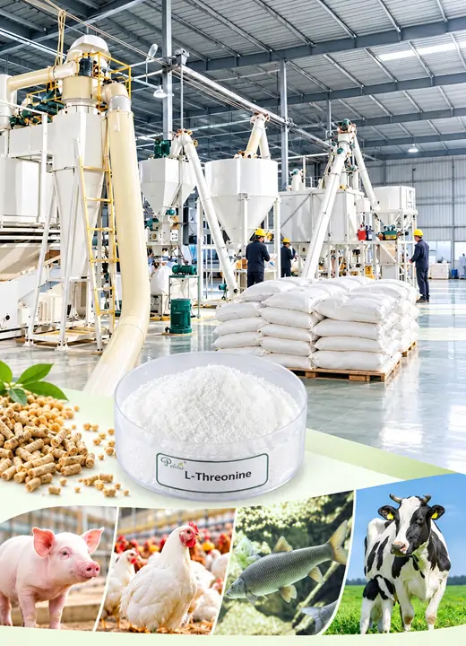 Polifar L-Threonine Helps Balance Amino Acids for Animals Polifar L-Threonine Helps Balance Amino Acids for Animals