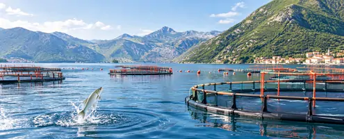 L-Threonine for Aquaculture L-Threonine for Aquaculture