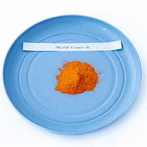 Vitamin B2 Complex Riboflavin Powder for Chickens