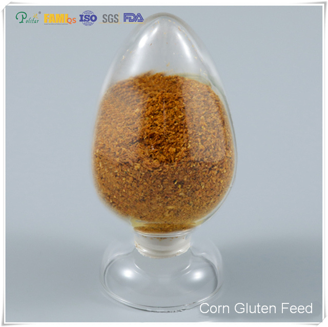 High Protein Corn Gluten Feed Pellets for Cattle