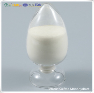 Ferrous Sulphate Monohydrate powder feed grade/industrial grade