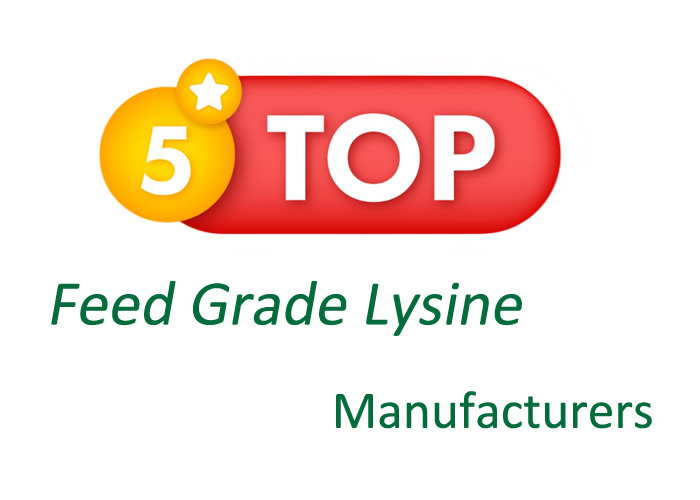 China's Top 5 Feed Grade Lysine Manufacturers
