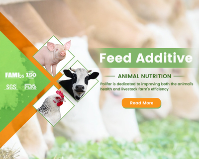 Feed Additives And Food Additives manufacturers - Polifar