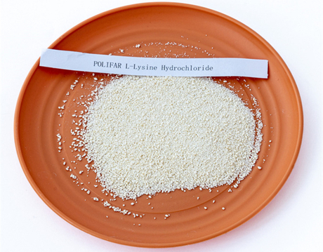 lysine.jpg