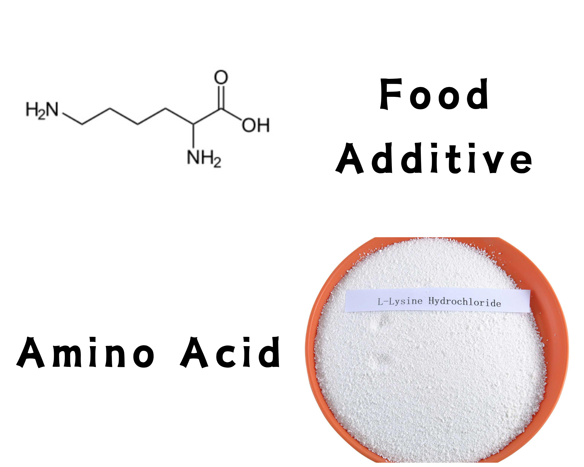 L-Lysine HCL Powder