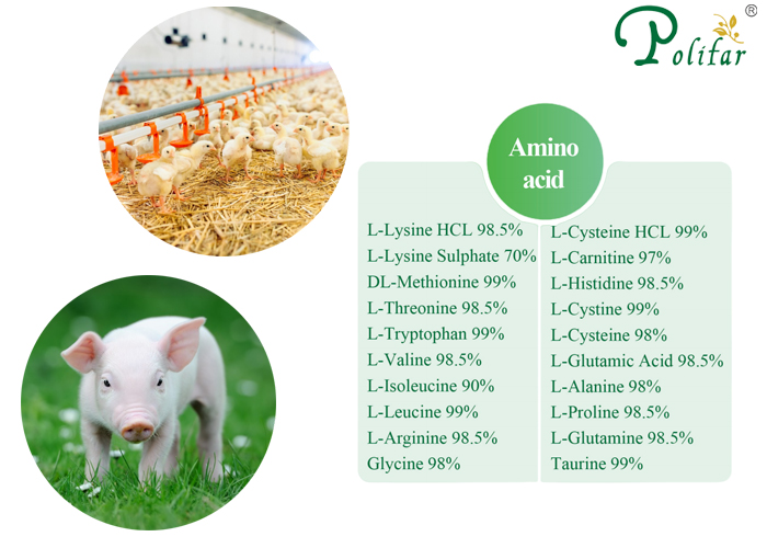 What Is the Types for Amino Acids Included in Feed Additives? -Polifar