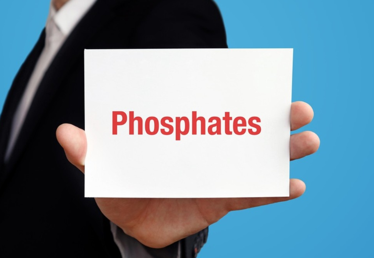Applications and Uses of Phosphate Additives in Food