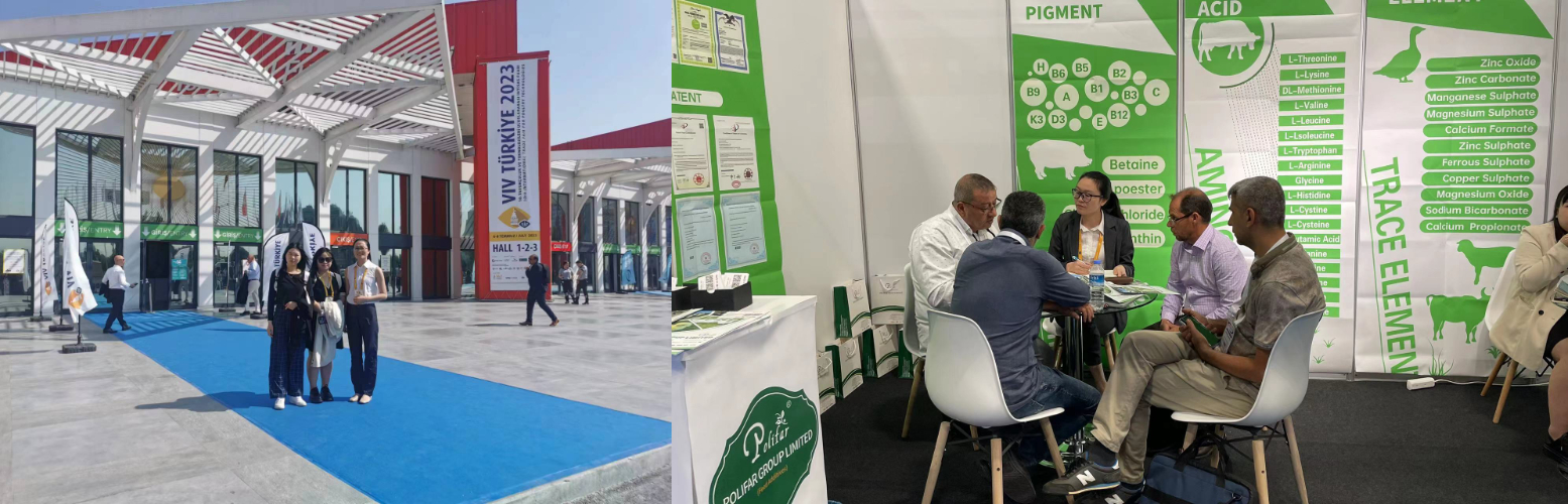 Turkish Feed Additives Exhibition