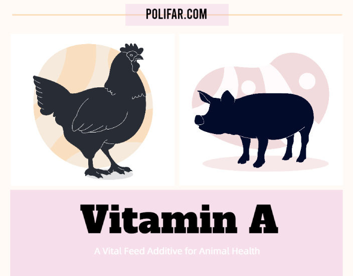 Vitamin A: A Vital Feed Additive for Animal Health