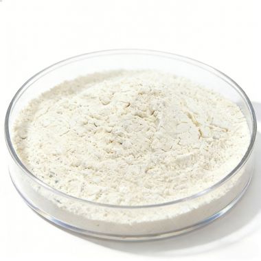 xanthan gum