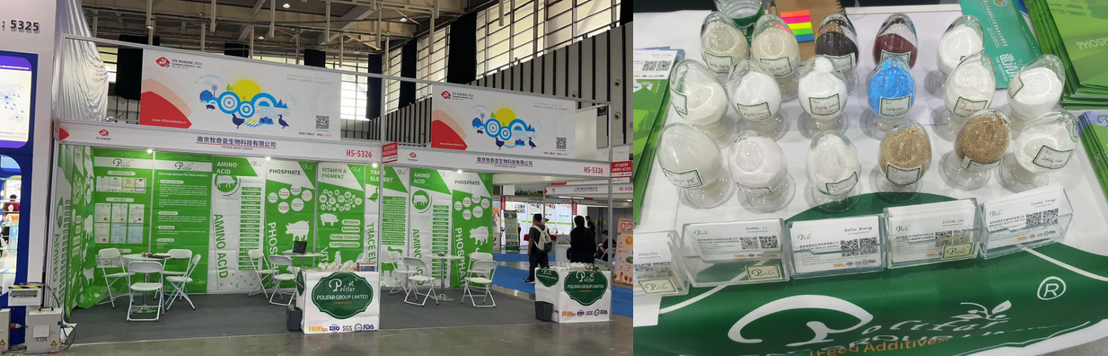 Feed Additives Exhibition and samples