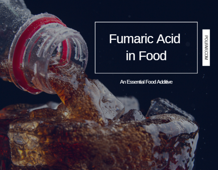 The Versatile Role of Fumaric Acid in Food Additives