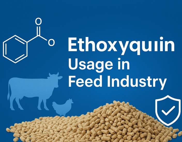Ethoxyquin Usage in Feed Industry