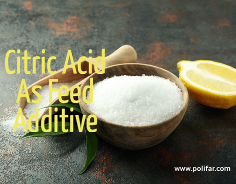 Feed Additive Citric Acid.png