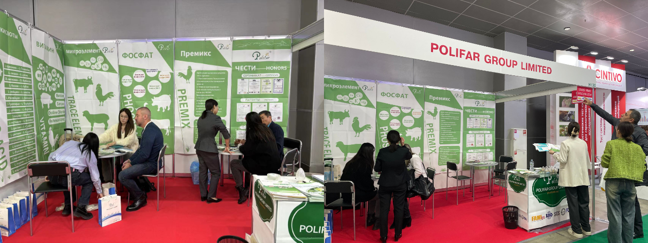 Feed Additives Exhibition