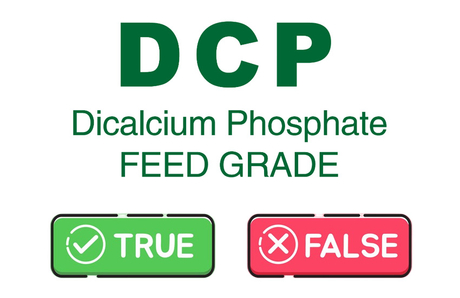 Dicalcium phosphate.jpg