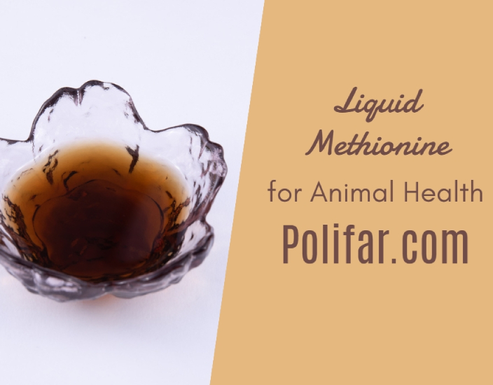 Why Liquid Methionine Is Essential for Animal Health