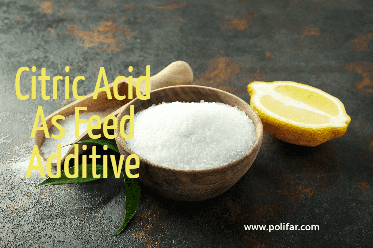 Citric Acid As Feed Additive