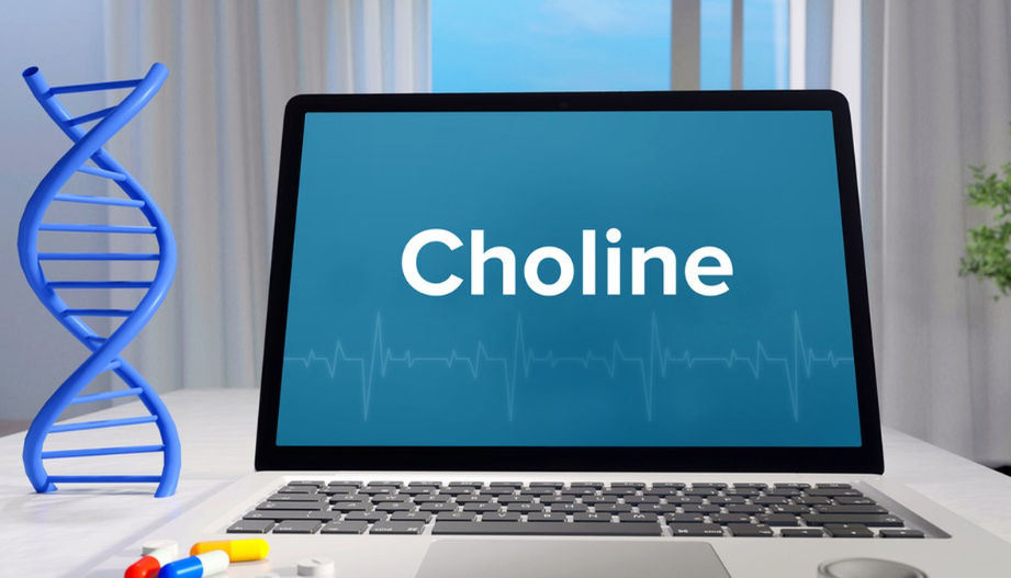 choline