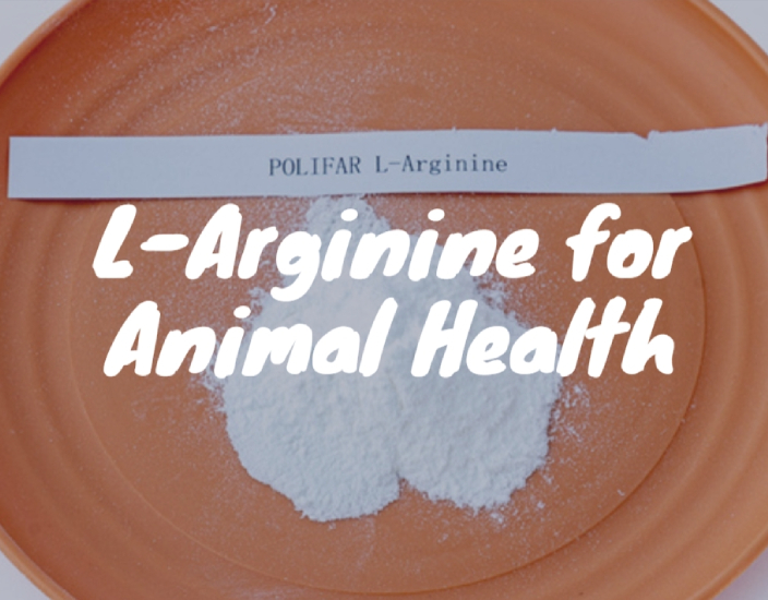 Feed-Grade L-Arginine: Essential for Animal Health