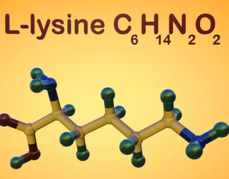 lysine.jpg