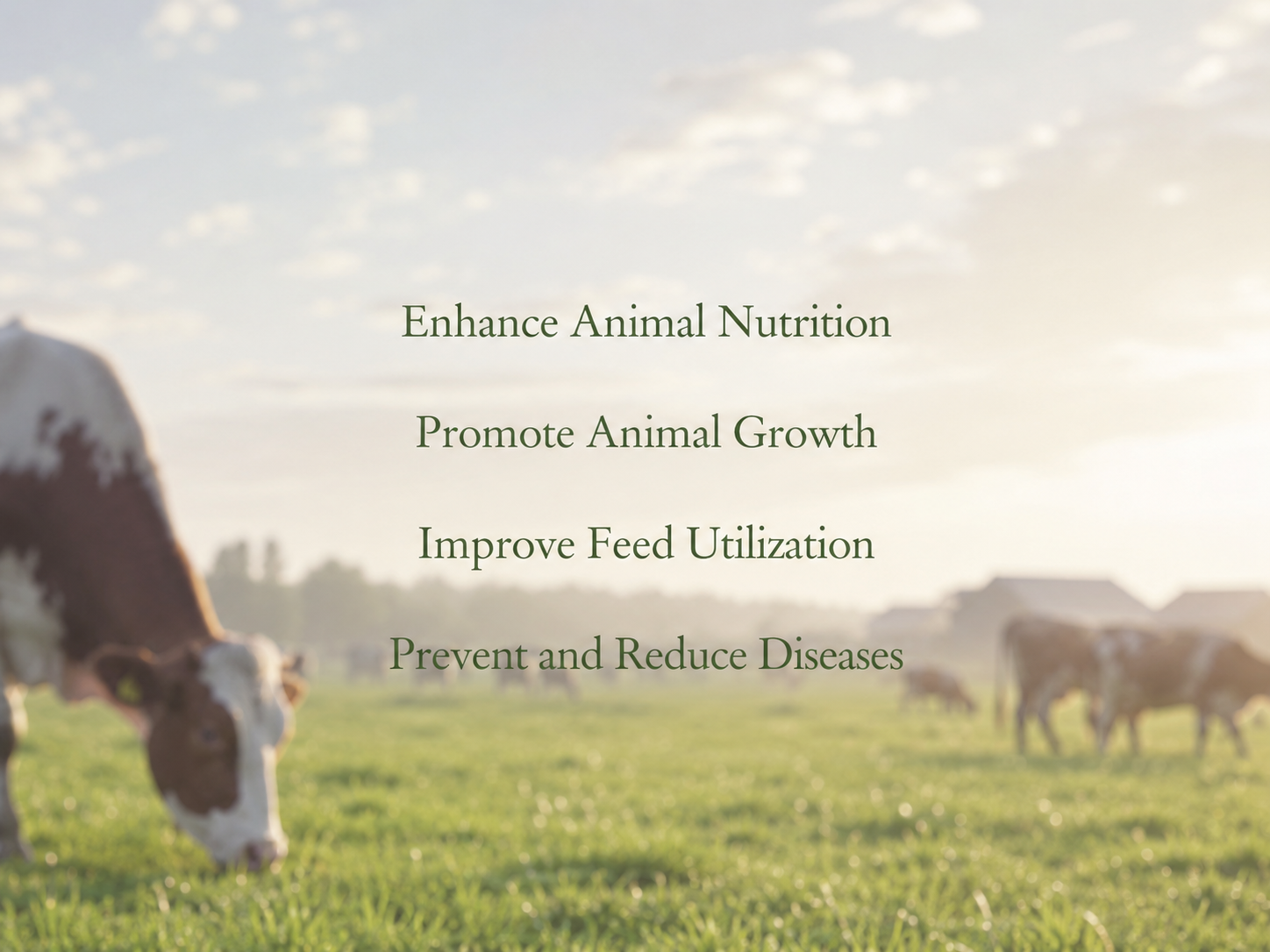 Efficacy of feed additives