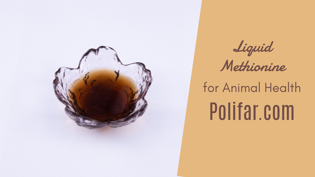 Liquid Methionine