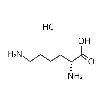 Structure of L Lysine Hydrochloride