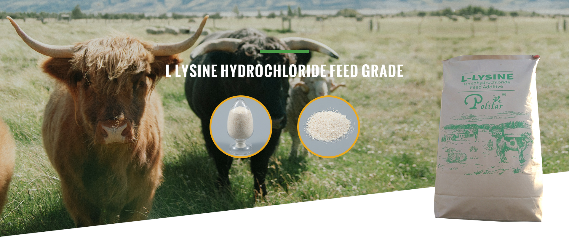 L LYSINE HYDROCHLORIDE FEED GRADE