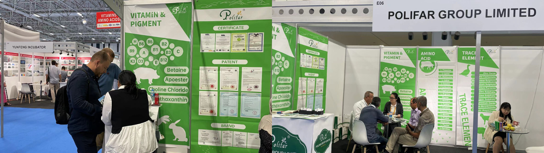 Promotion of feed additives