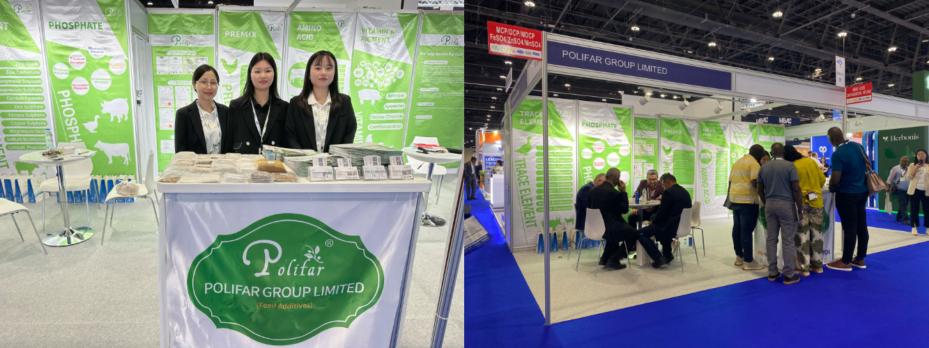 Feed Additives Exhibition - Abu Dhabi VIV