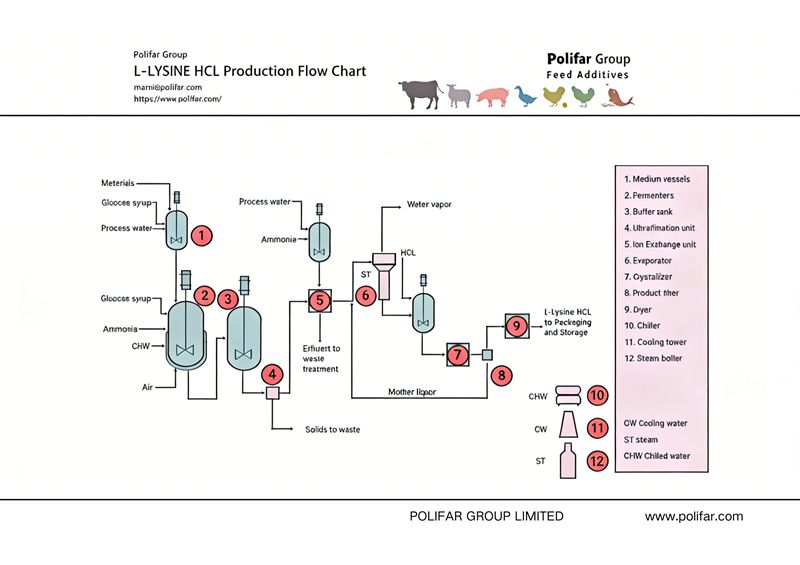 L-Lysine HCL Production Flow Chart