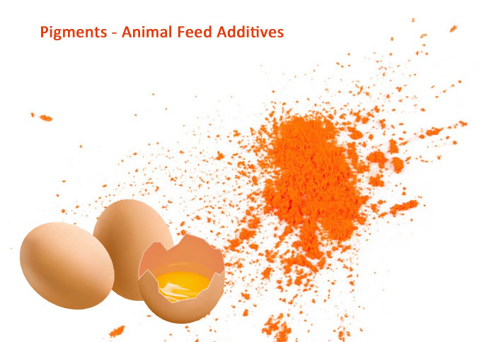 Feed pigments