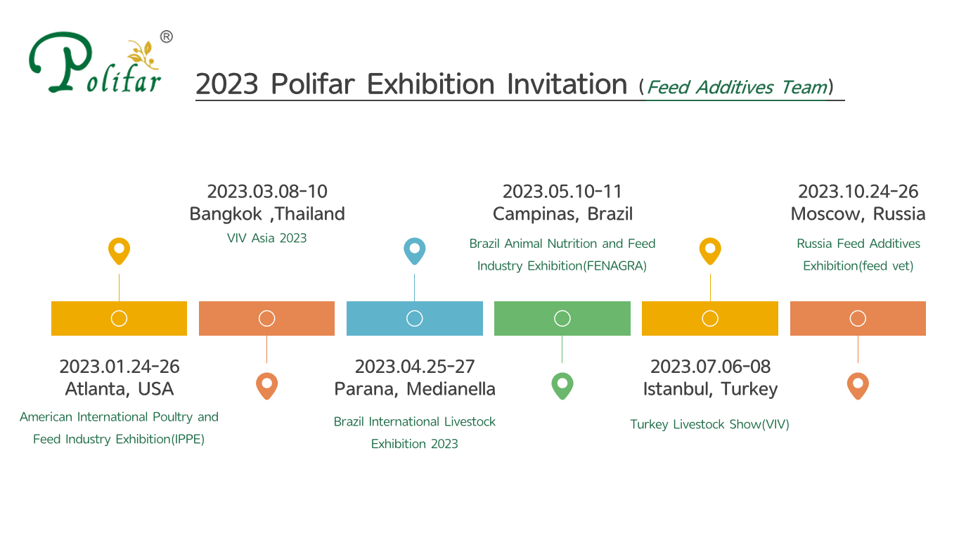 polifar feed exhibition