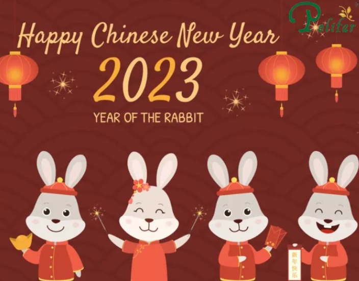 Chinese New Year Spring Festival Holiday Notice