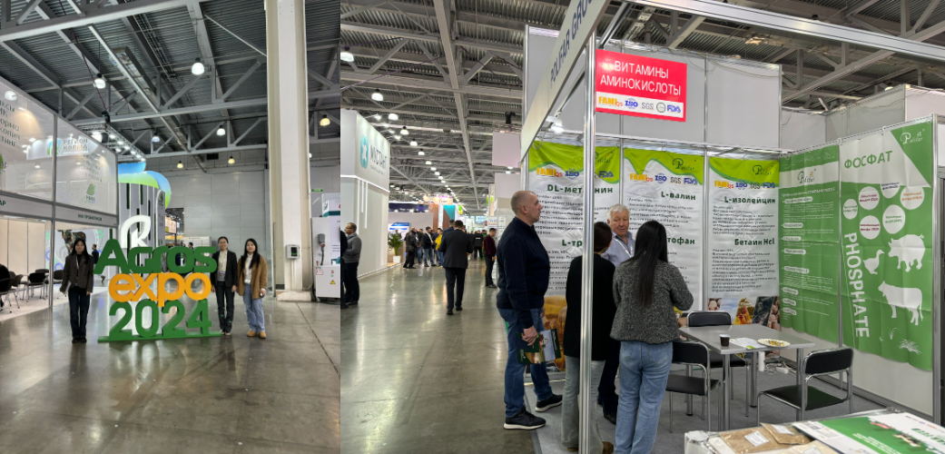Feed Additives Exhibition