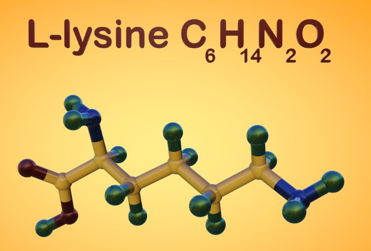 lysine polifar