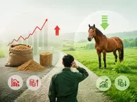 Soybean Meal Price Fluctuations