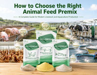 //iprnrwxhkqrq5q.leadongcdn.com/cloud/pmBqnKmmSRqlinmlmqkm/How-to-Choose-the-Right-Animal-Feed-Premix.jpg
