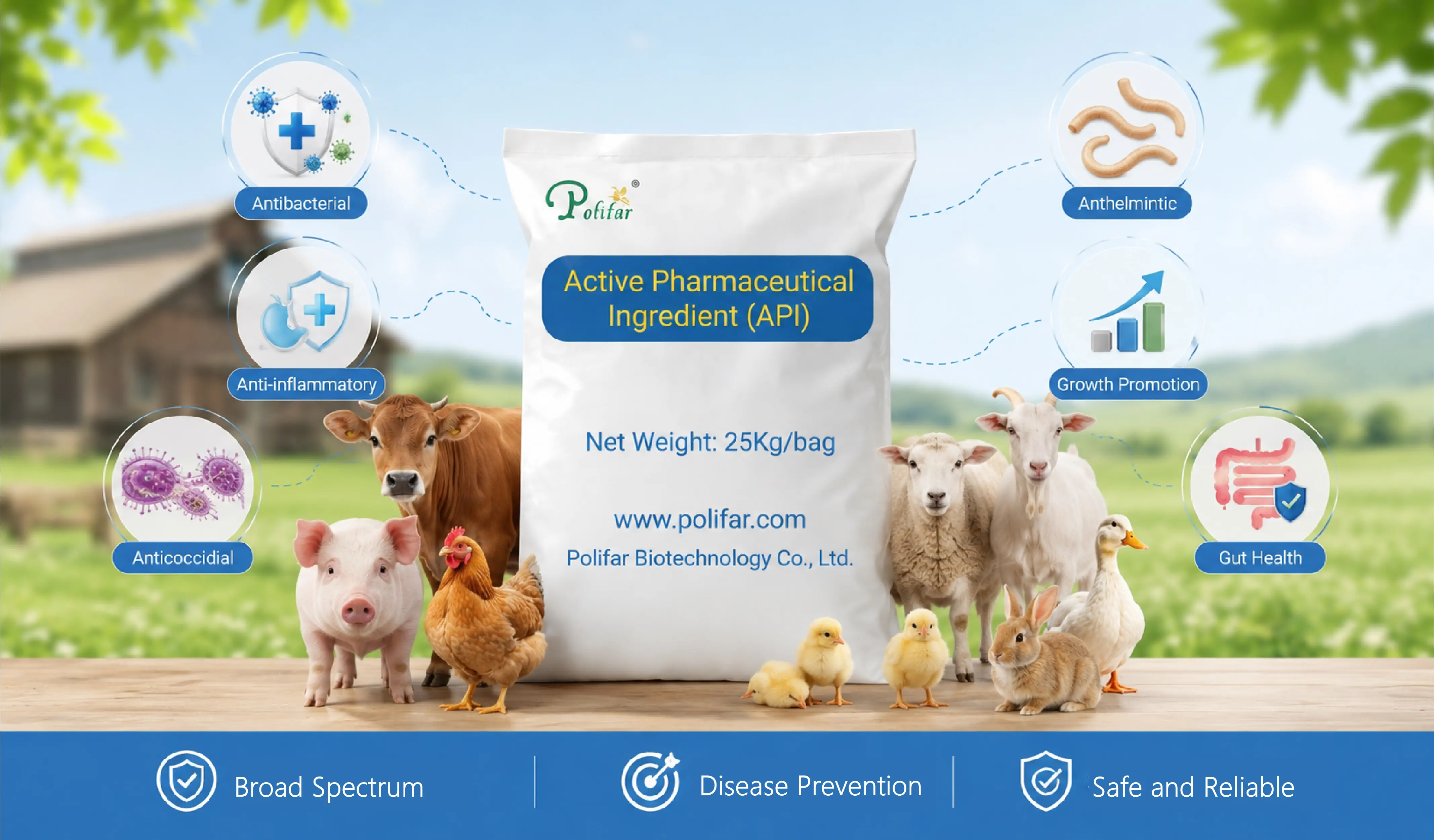 Active Pharmaceutical Ingredient (API)
