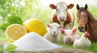 Animal Farming
