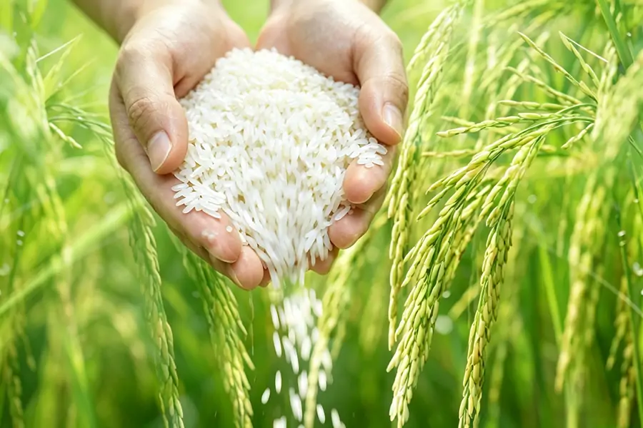 Responsible Sourcing