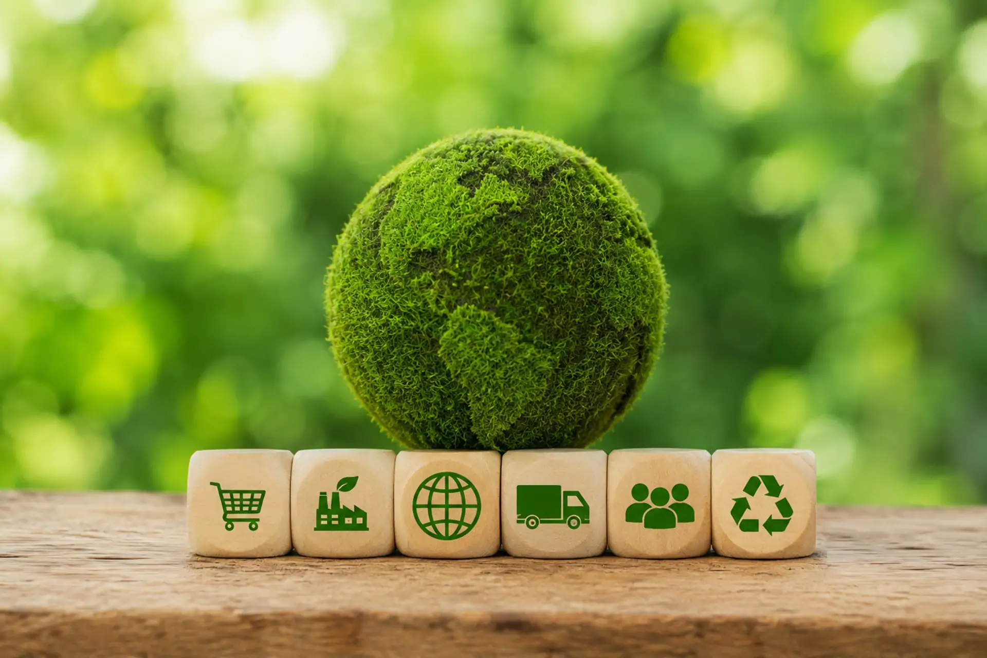 Polifar Global Supply Chain Network