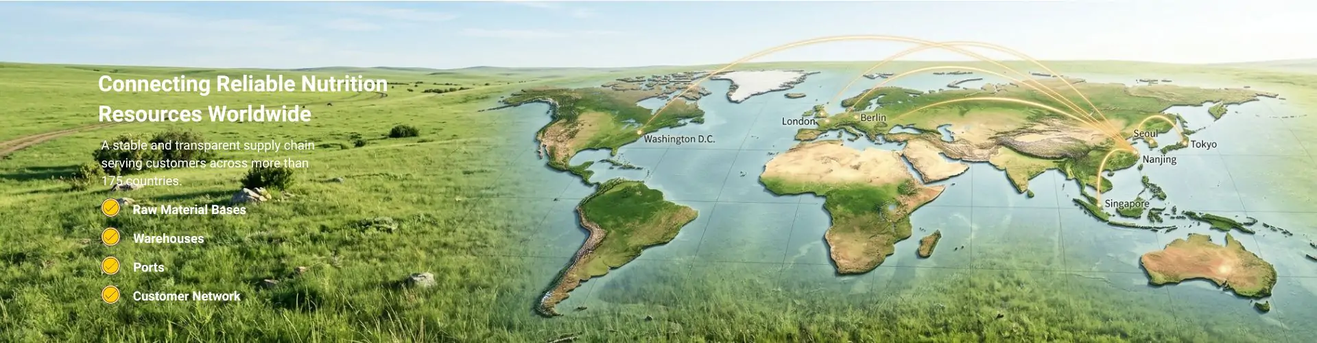 Polifar Global Supply Chain Network